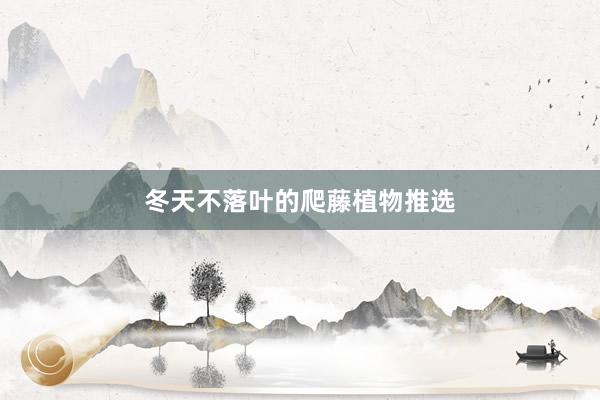 冬天不落叶的爬藤植物推选